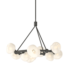 Hubbardton Forge - Canada 131069-SKT-MULT-20-FD0710 - Ume 9-Light Ring Pendant