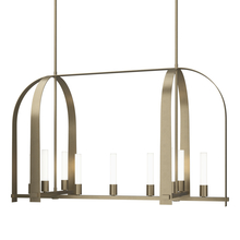 Hubbardton Forge - Canada 131075-SKT-MULT-84-FD0462 - Triomphe 9-Light Linear Pendant