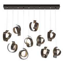 Hubbardton Forge - Canada 131208-SKT-STND-05-GG0711 - Riza 10-Light Pendant