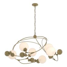 Hubbardton Forge - Canada 136421-SKT-86-GG0639 - Sprig Circular Pendant