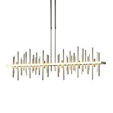 Hubbardton Forge - Canada 139726-LED-SHRT-86-84 - Cityscape Large LED Pendant