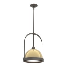 Hubbardton Forge - Canada 187462-SKT-MULT-07-86 - Atlas Small Pendant