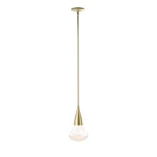 Hubbardton Forge - Canada 188902-SKT-MULT-86-ZM0676 - Fritz Large Pendant