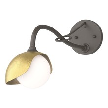 Hubbardton Forge - Canada 201376-SKT-07-86-GG0711 - Brooklyn 1-Light Single Shade Long-Arm Sconce