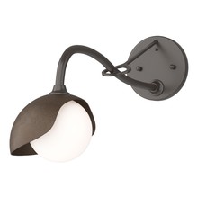 Hubbardton Forge - Canada 201376-SKT-14-05-GG0711 - Brooklyn 1-Light Single Shade Long-Arm Sconce