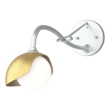 Hubbardton Forge - Canada 201376-SKT-82-86-GG0711 - Brooklyn 1-Light Single Shade Long-Arm Sconce