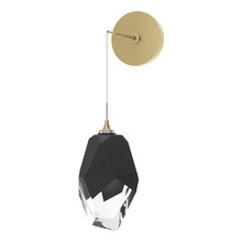 Hubbardton Forge - Canada 201398-SKT-86-BP0755 - Chrysalis Large Low Voltage Sconce