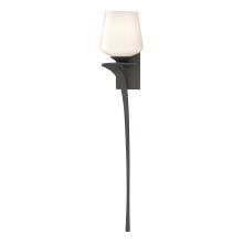 Hubbardton Forge - Canada 204710-SKT-LFT-20-GG0236 - Antasia Single Glass 1 Light Sconce