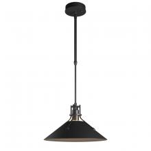 Hubbardton Forge - Canada 363008-SKT-STND-80 - Henry Outdoor Pendant Medium