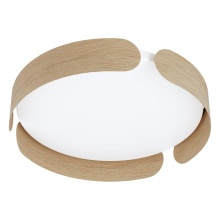 Eglo Canada 205421A - LED Ceiling Light / Plafonnier DEL
