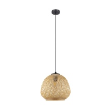 Eglo Canada 206044A - 1L Pendant Light / Luminaire suspendu 1L
