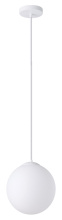 Eglo Canada 206428A - 1L Pendant Light / Luminaire suspendu 1L
