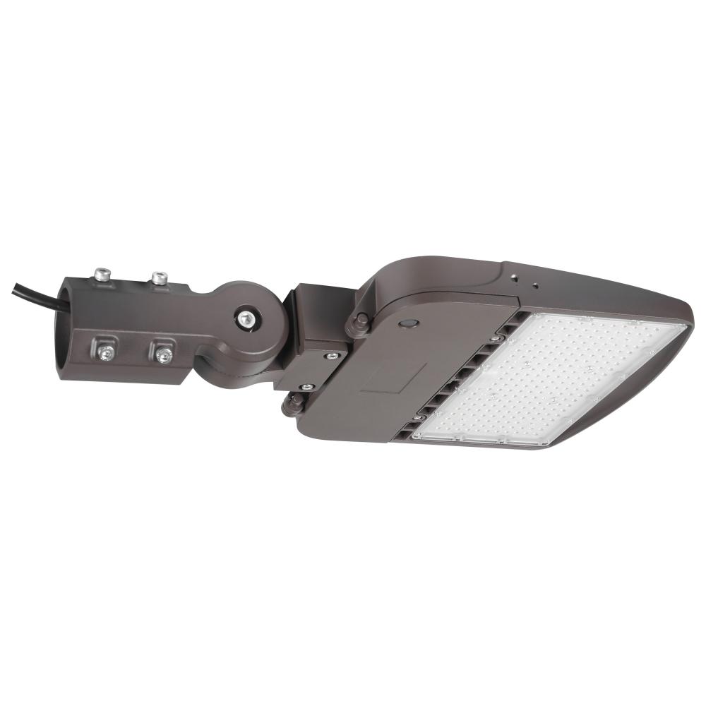 LED Area Light Type III; 100W; Bronze Finish; 5000K; 277-480V