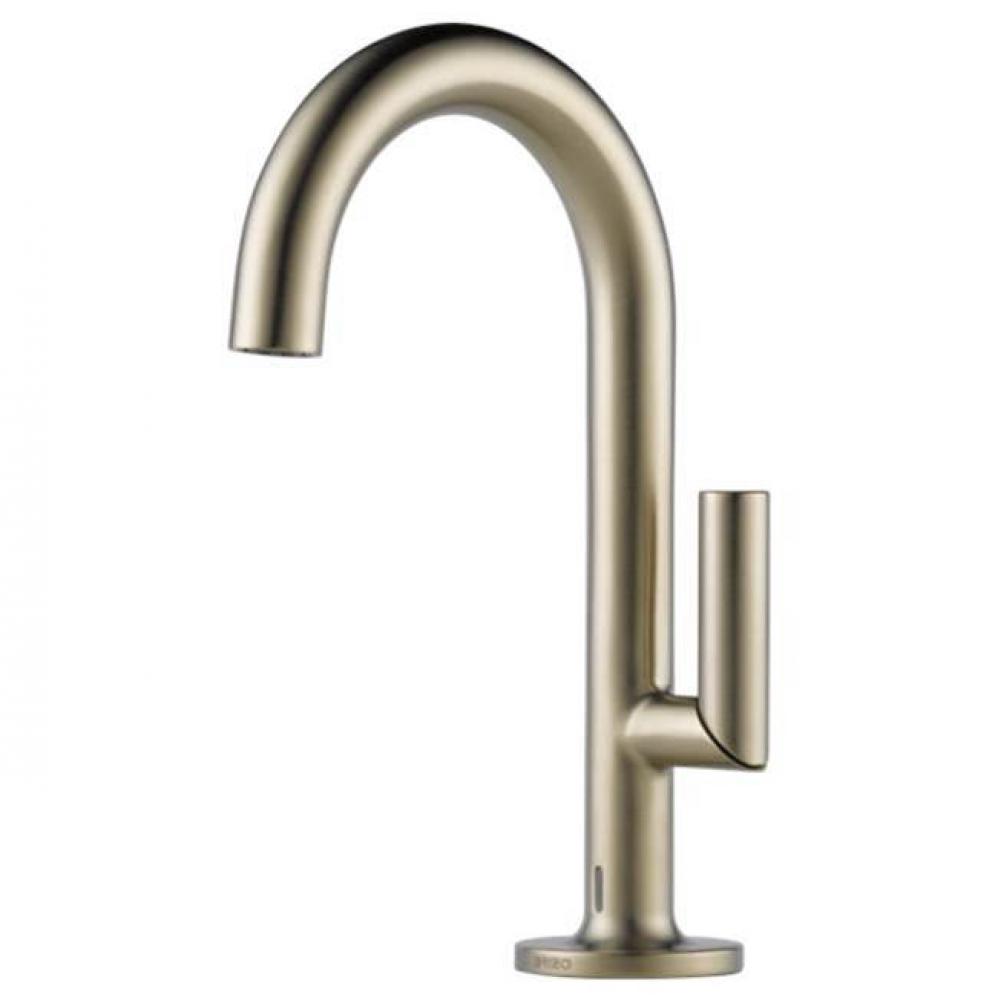 Brizo Single Hole Single Handle Lav Faucet