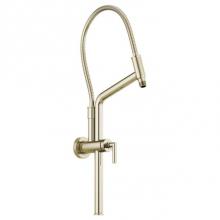 Brizo Canada 81892-PN - Slidebar Shower Arm & Flange