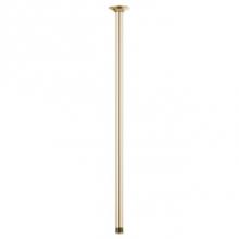 Brizo Canada 83992-24-PG - 24'' Ceiling Mount Shower Arm & Flange