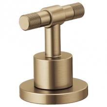Brizo Canada HL5333-GL-NM - Lavatory Handle Kit - T-Lever .