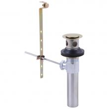Brizo Canada RP28653BN - Brizo: Complete Pop-Up Assembly