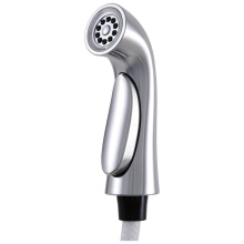 Delta Canada RP53880AR - Pilar® Side Spray & Hose Assembly