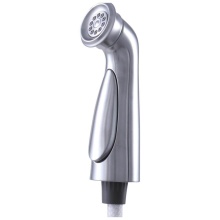 Delta Canada RP72751AR - Cassidy™ Side Spray & Hose Assembly