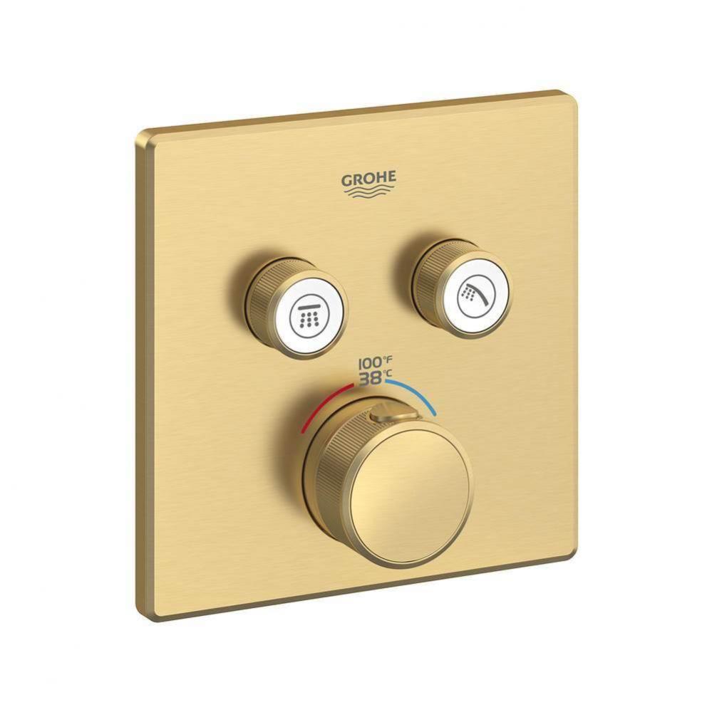 Dual Function Thermostatic Valve Trim