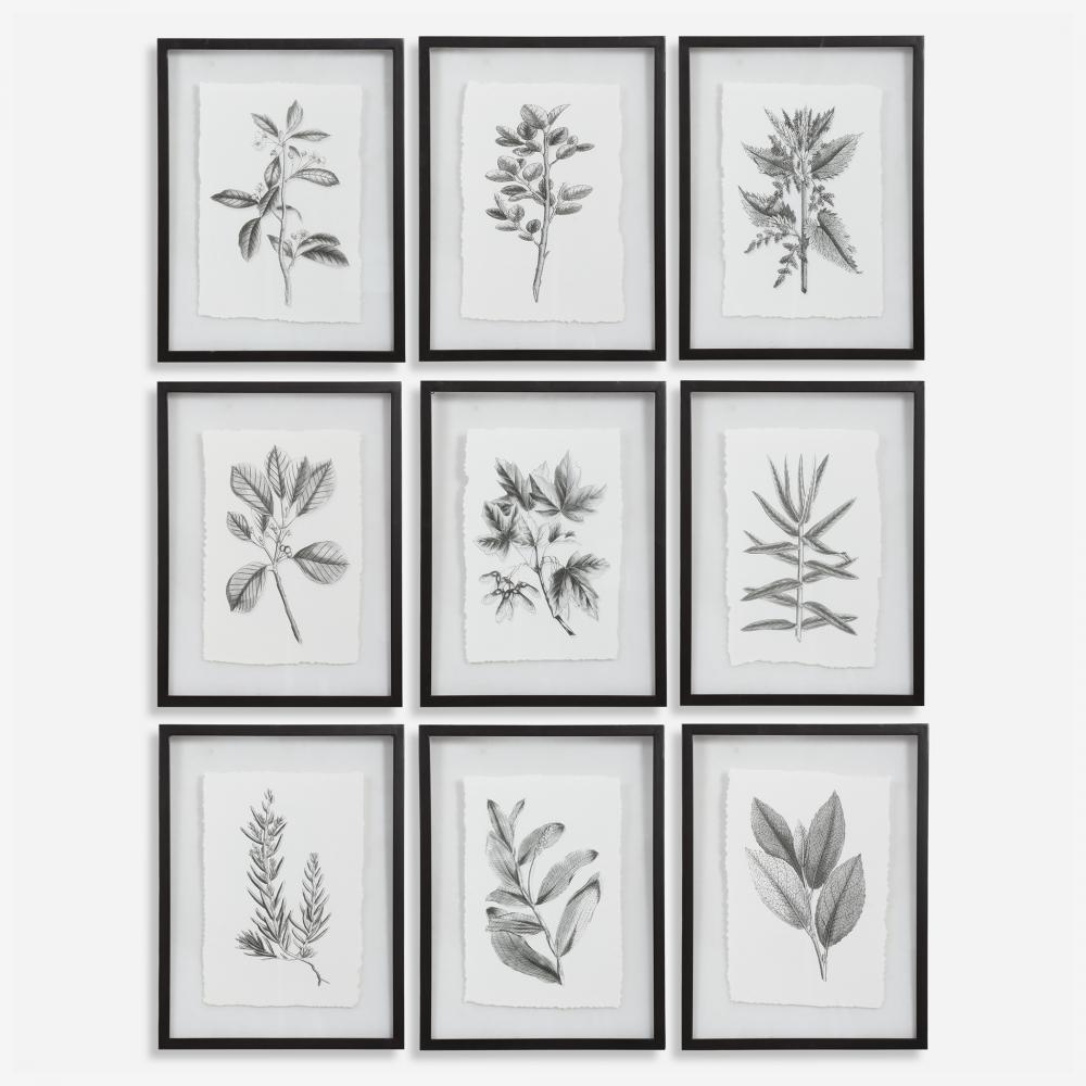 Farmhouse Florals Framed Prints, S/9