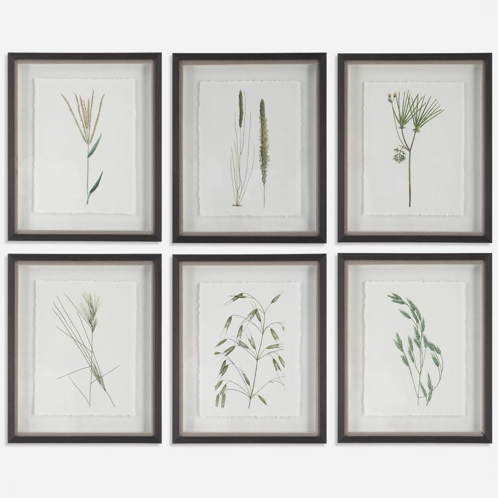 Forest Finds Framed Prints, S/6