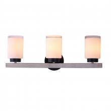 ELK Home 85441/3 - Briggs 24'' Wide 3-Light Vanity Light - Black