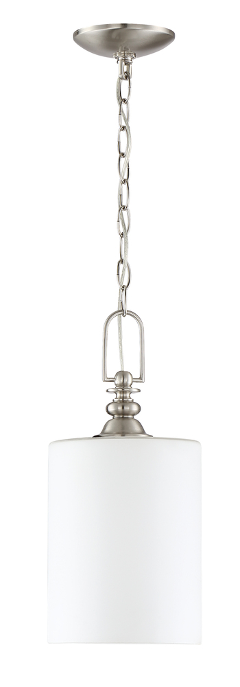 Dardyn 1 Light Mini Pendant in Brushed Polished Nickel