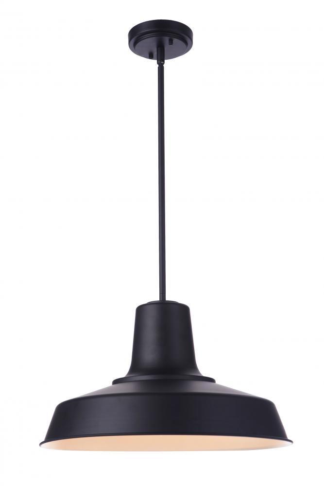 Briscoe 1 Light 18" Outdoor Pendant in Midnight