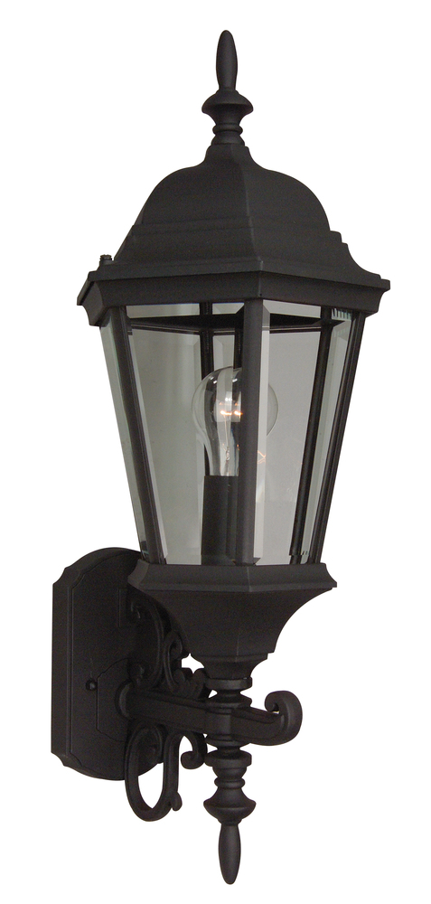 Straight Glass Cast 1 Light Medium Outdoor Wall Lantern in Textured Black