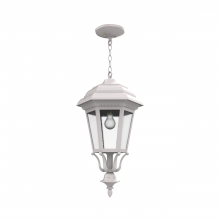 SNOC 31455-CH033 - Jamestown - Ceiling mount with chain large closed bottom - 31455